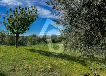 E9466486-F775-4DF5-AAC2-6E1D39814F1A.jpeg - Terreno edificabile Jesi - foto 13