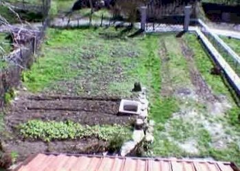 Foto 66.jpg - Terratetto - Terracielo Terenzo - foto 5