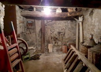 20220613_141404[1].jpg - Terratetto - Terracielo Terenzo - foto 25