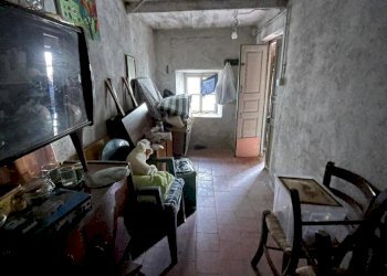 silvanti boio 2.jpg - Appartamento Solignano - foto 2