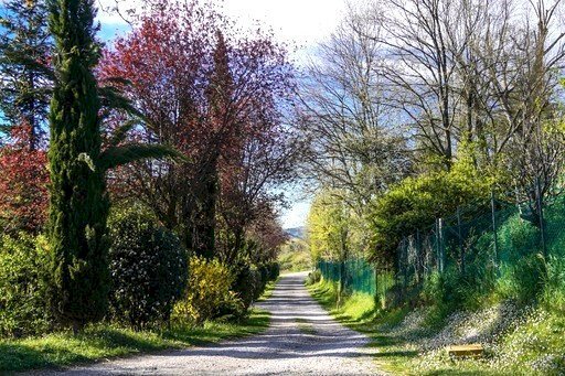 Terreno agricolo Sasso Marconi - foto 3