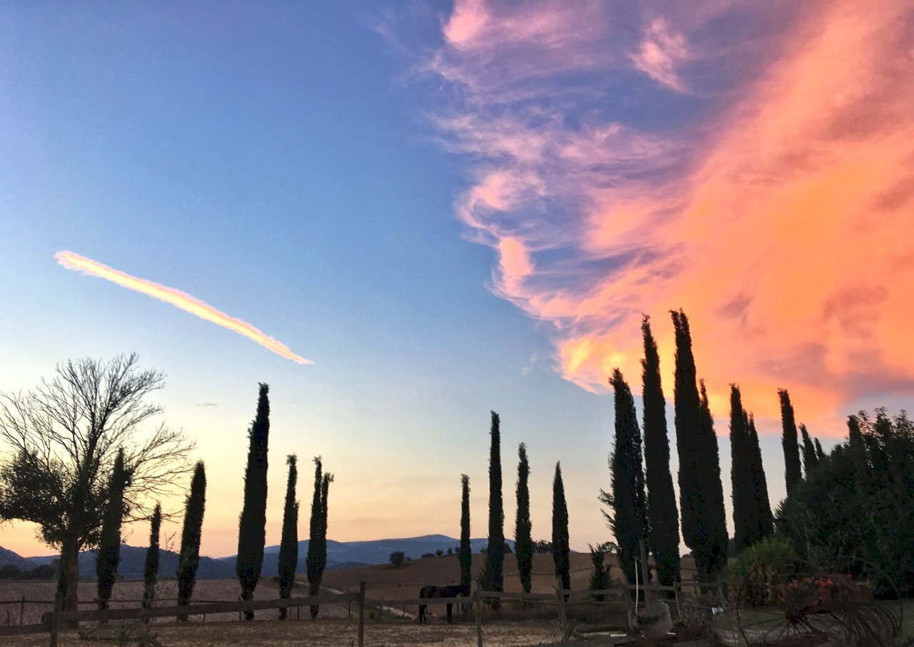 Terreno agricolo Sasso Marconi - foto 1