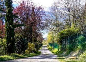 Terreno agricolo Sasso Marconi - foto 3