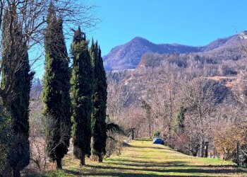 Terreno agricolo Sasso Marconi - foto 6