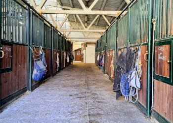 Terreno agricolo Sasso Marconi - foto 7