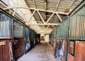 Terreno agricolo Sasso Marconi - foto 10