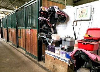 Terreno agricolo Sasso Marconi - foto 12