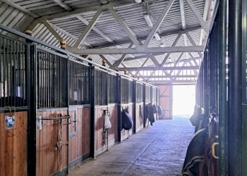 Terreno agricolo Sasso Marconi - foto 15