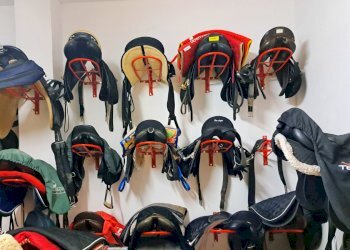 Terreno agricolo Sasso Marconi - foto 17