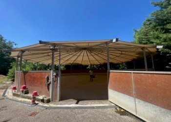 Terreno agricolo Sasso Marconi - foto 20