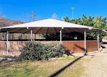 Terreno agricolo Sasso Marconi - foto 21