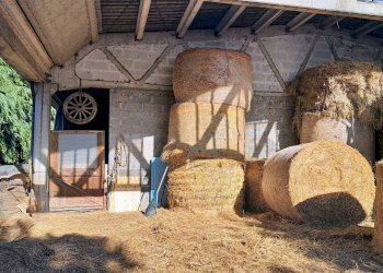 Terreno agricolo Sasso Marconi - foto 26