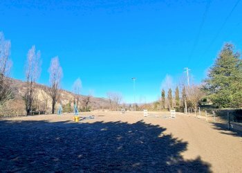 Terreno agricolo Sasso Marconi - foto 30