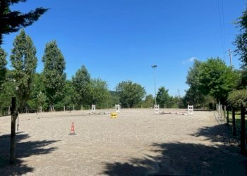 Terreno agricolo Sasso Marconi - foto 31