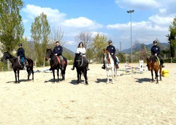 Terreno agricolo Sasso Marconi - foto 32