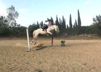 Terreno agricolo Sasso Marconi - foto 33