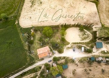 Terreno agricolo Sasso Marconi - foto 35