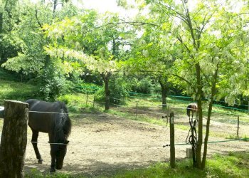 Terreno agricolo Sasso Marconi - foto 37