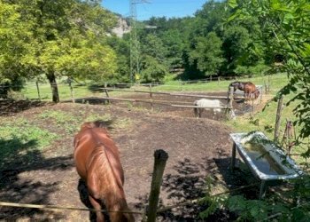 Terreno agricolo Sasso Marconi - foto 38