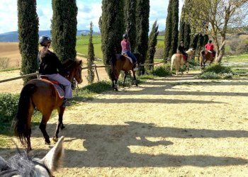 Terreno agricolo Sasso Marconi - foto 39