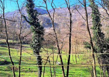 Terreno agricolo Sasso Marconi - foto 40