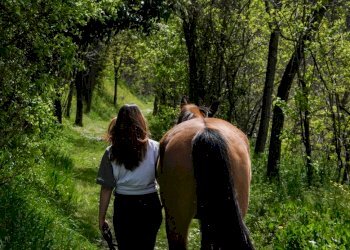 Terreno agricolo Sasso Marconi - foto 41