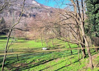 Terreno agricolo Sasso Marconi - foto 43