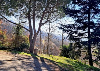 Terreno agricolo Sasso Marconi - foto 44