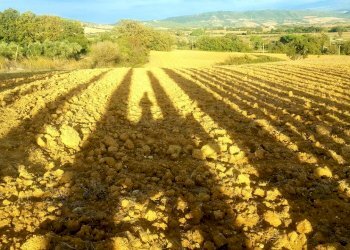 Terreno agricolo Sasso Marconi - foto 48