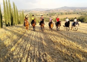 Terreno agricolo Sasso Marconi - foto 49