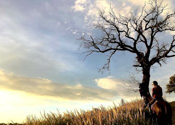 Terreno agricolo Sasso Marconi - foto 51