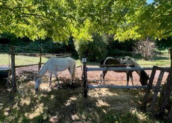 Terreno agricolo Sasso Marconi - foto 53