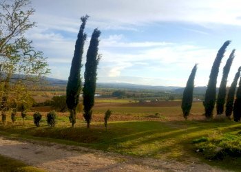 Terreno agricolo Sasso Marconi - foto 54