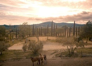 Terreno agricolo Sasso Marconi - foto 55