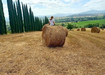 Terreno agricolo Sasso Marconi - foto 57