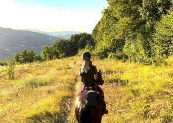 Terreno agricolo Sasso Marconi - foto 67