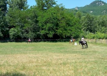 Terreno agricolo Sasso Marconi - foto 68