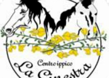 Terreno agricolo Sasso Marconi - foto 69