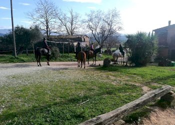 Terreno agricolo Sasso Marconi - foto 73