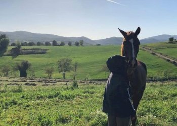 Terreno agricolo Sasso Marconi - foto 75