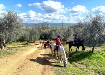 Terreno agricolo Sasso Marconi - foto 77
