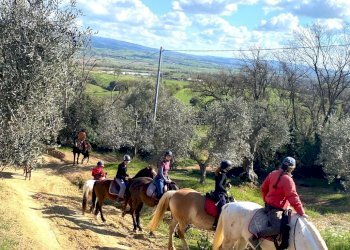Terreno agricolo Sasso Marconi - foto 78