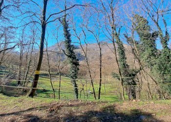 Terreno agricolo Sasso Marconi - foto 82