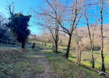 Terreno agricolo Sasso Marconi - foto 85