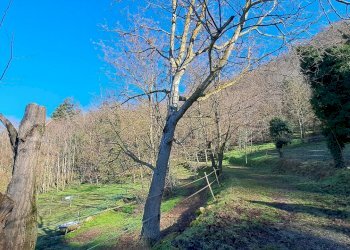 Terreno agricolo Sasso Marconi - foto 86