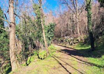 Terreno agricolo Sasso Marconi - foto 87