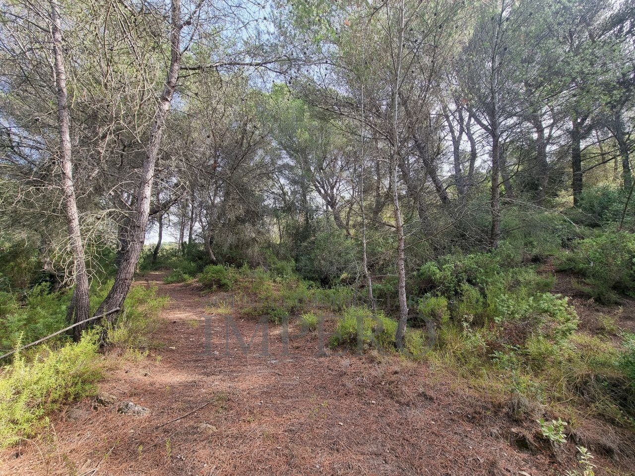 Rustic Via Case Gina 1, Ventimiglia - photo 2