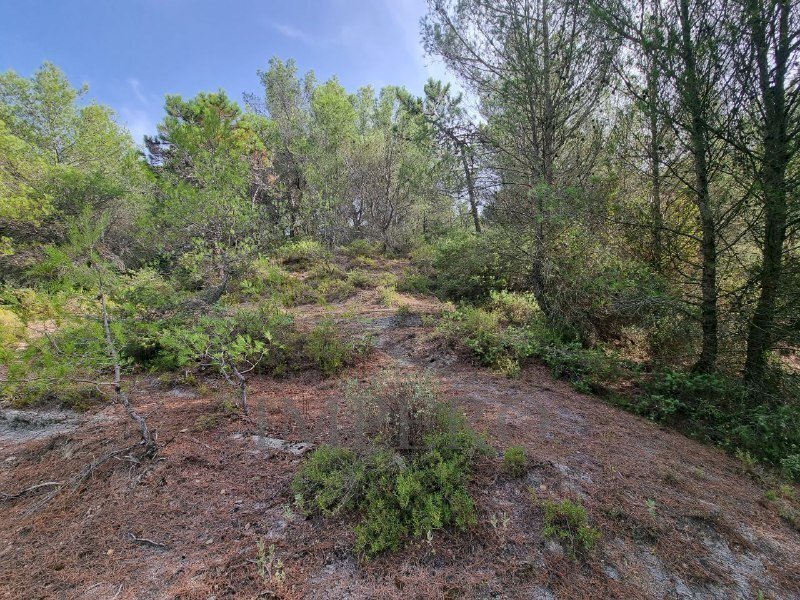 Rustic Via Case Gina 1, Ventimiglia - photo 3