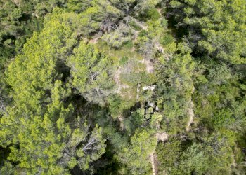 drone4 - Rustico Via Case Gina 1, Ventimiglia - foto 1