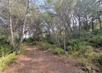 Rustico Via Case Gina 1, Ventimiglia - foto 2